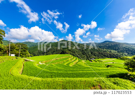 新緑の大中尾棚田 【長崎市】 新緑の大中尾棚田 【長崎市】 117023553