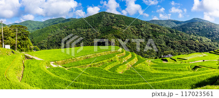 新緑の大中尾棚田　パノラマ　【長崎市】 117023561
