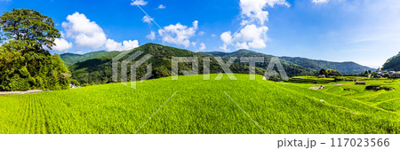 新緑の大中尾棚田　パノラマ　【長崎市】 117023566