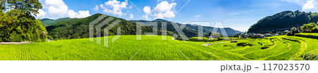新緑の大中尾棚田 パノラマ 【長崎市】 新緑の大中尾棚田 パノラマ 【長崎市】 117023570