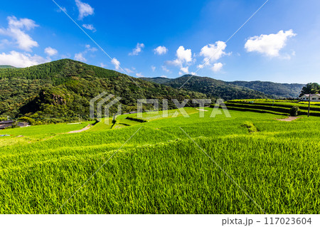 新緑の大中尾棚田　【長崎市】 117023604