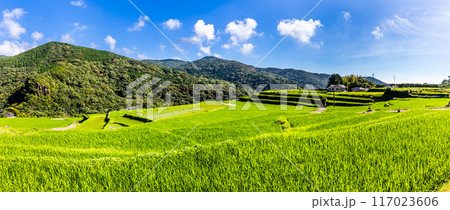 新緑の大中尾棚田　パノラマ　【長崎市】 117023606