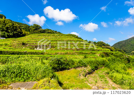 新緑の大中尾棚田　【長崎市】 117023620