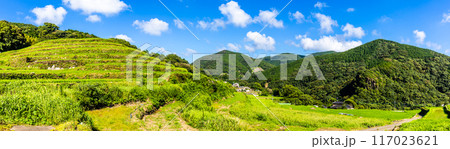 新緑の大中尾棚田 パノラマ 【長崎市】 新緑の大中尾棚田 パノラマ 【長崎市】 117023621