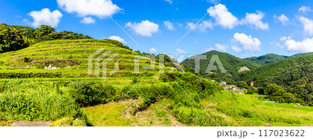 新緑の大中尾棚田　パノラマ　【長崎市】 117023622