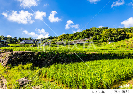 新緑の大中尾棚田 【長崎市】 新緑の大中尾棚田 【長崎市】 117023626