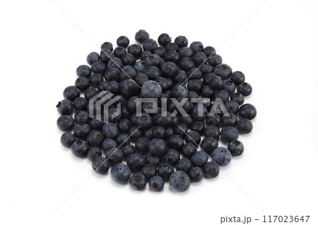 新鮮なブルーベリー 117023647