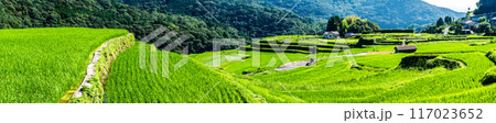新緑の大中尾棚田　パノラマ　【長崎市】 117023652