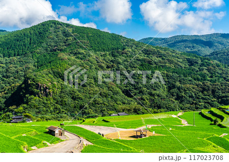 新緑の大中尾棚田　【長崎市】 117023708