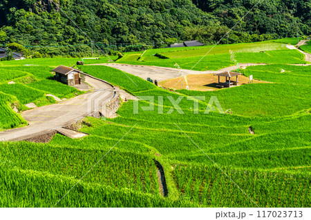 新緑の大中尾棚田　【長崎市】 117023713