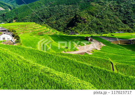 新緑の大中尾棚田　【長崎市】 117023717