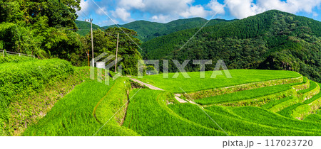 新緑の大中尾棚田　パノラマ　【長崎市】 117023720