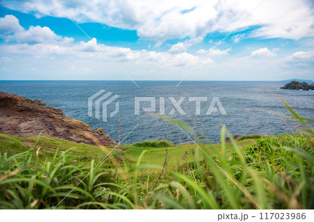 海の見える景色 海の見える景色 117023986
