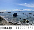 葉山、森戸海岸の光る海と葉山灯台、菜島の鳥居 117024574