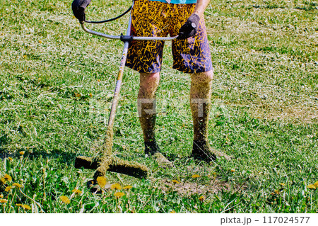 Shorts-clad landscaper kills weeds with string weed wacker, his legs covered in shredded grass. 117024577