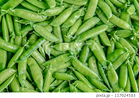 Garden peas are also sometimes called sweet peas or English peas, plant texture for background or backdrop. Garden peas are also sometimes called sweet peas or English peas, plant texture for background or backdrop. 117024583