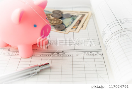 家計簿　貯蓄　家計　支出　豚の貯金箱 117024791