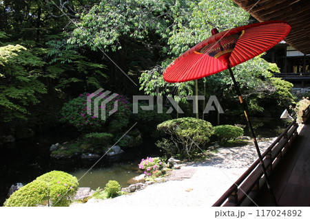 滋賀県大津市　圓満院門跡の日本庭園 117024892