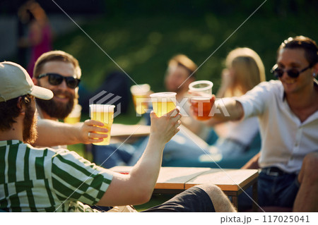 Sunny Celebration. Group of friends, gathering for a picnic, sharing laugh and engaging conversation while clinking beer glasses. 117025041