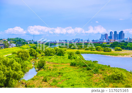 日本の東京都市景観 8月。猛烈な暑さ…緑溢れる多摩川や武蔵小杉駅前のタワマン群などを望む＝8月1日 117025165