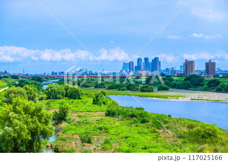 日本の東京都市景観 8月。猛烈な暑さ…緑溢れる多摩川や武蔵小杉駅前のタワマン群などを望む=8月1日 日本の東京都市景観 8月。猛烈な暑さ…緑溢れる多摩川や武蔵小杉駅前のタワマン群などを望む=8月1日 117025166