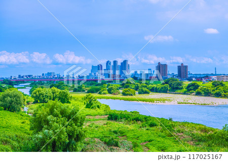 日本の東京都市景観 8月。猛烈な暑さ…緑溢れる多摩川や武蔵小杉駅前のタワマン群などを望む=8月1日 日本の東京都市景観 8月。猛烈な暑さ…緑溢れる多摩川や武蔵小杉駅前のタワマン群などを望む=8月1日 117025167