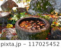 醍醐寺 水瓶に浮かぶ紅葉 117025452