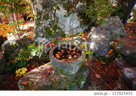 醍醐寺 水瓶に浮かぶ紅葉 117025455