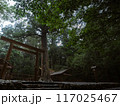 光が差す森の中の神社 117025467