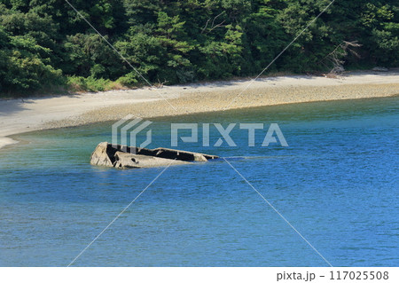 笠戸島の戦争遺構　座礁船 117025508