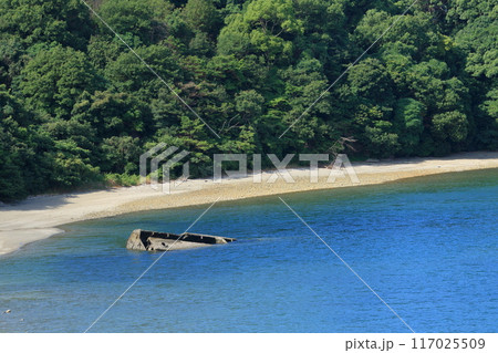 笠戸島の戦争遺構　座礁船 117025509