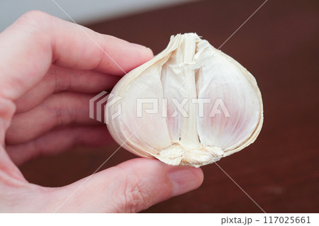 ニンニク半玉のイメージ ニンニク半玉のイメージ 117025661