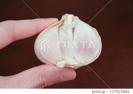ニンニク半玉のイメージ 117025662