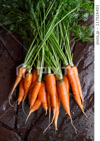 Fresh carrots with greens washing on the vegetable garden Fresh carrots with greens washing on the vegetable garden 117026401