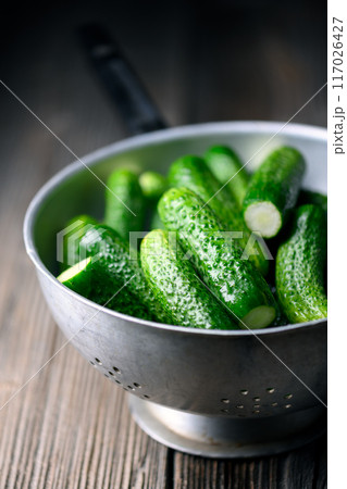 Fresh young green cucumbers in a metal colander Fresh young green cucumbers in a metal colander 117026427