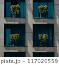 windows on the wall 117026559
