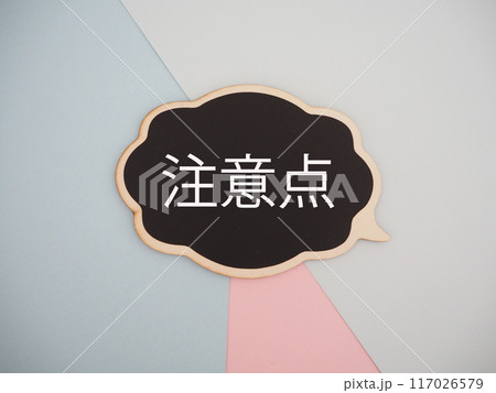 吹き出しに注意点の文字 117026579