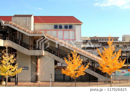 阪急桂駅と黄色く色付いたイチョウの木 117026825