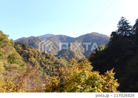 奥多摩 紅葉 奥多摩 紅葉 117026826