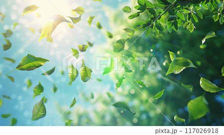 舞い散る葉 117026918