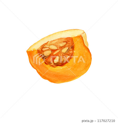 watercolor half of ripe orange pumpkin for cooking, piece of fruit with flesh and seeds, autumn harvest illustration, hand drawn sketch, white background watercolor half of ripe orange pumpkin for cooking, piece of fruit with flesh and seeds, autumn harvest illustration, hand drawn sketch, white background 117027210