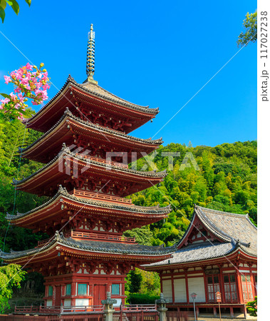 明王院（広島県福山市） 117027238