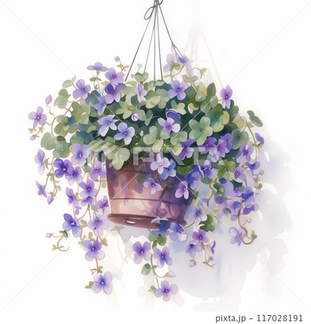 Hanging purple flower basket with lush green leaves, perfect for garden decor and vibrant outdoor spaces. 117028191