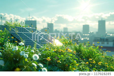 Solar panels on green rooftop garden with wildflowers, city skyline in background. Concept of urban sustainability and renewable energy. Solar panels on green rooftop garden with wildflowers, city skyline in background. Concept of urban sustainability and renewable energy. 117028285