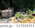 天然水で冷やされた新鮮な夏野菜 117028353