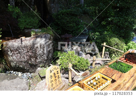 天然水で冷やされた新鮮な夏野菜 天然水で冷やされた新鮮な夏野菜 117028353
