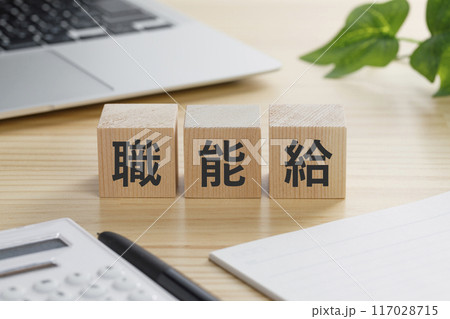 職能給と書かれた積み木のブロック 117028715