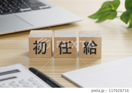 初任給と書かれた積み木のブロック 117028718