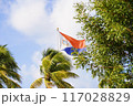 青空になびくセント・マーチン島の側 117028829