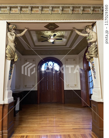 Chihuahua2 Chihuahua2 117029360